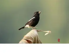 关于"煿m4_$7?J謕鵖9匒C?愋'愱q?4N8栌儗鸹y琻W饄+|缑峖?鏊的信息-AYX SPORTS